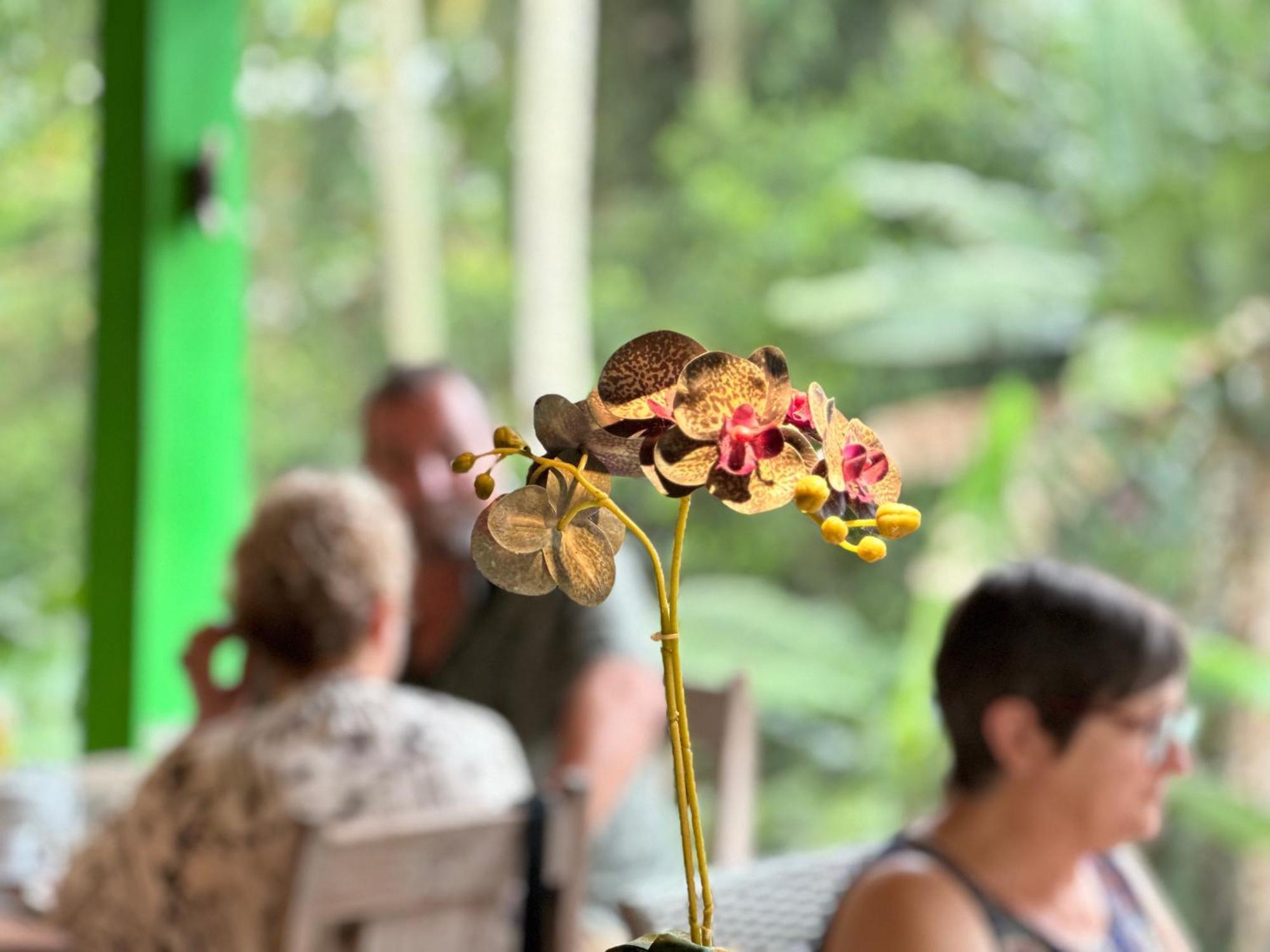 Hotel Dupa Ubud Zewnętrze zdjęcie