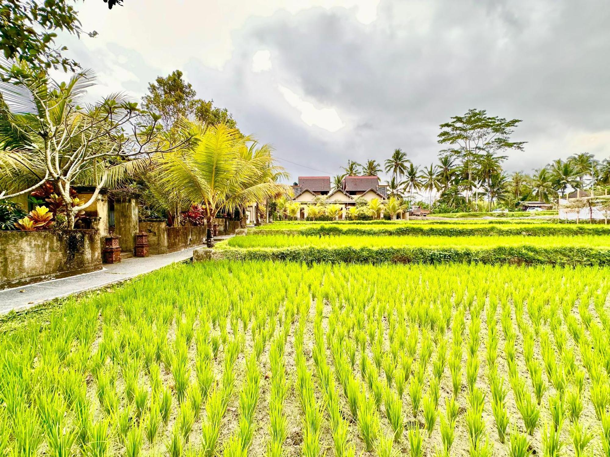 Hotel Dupa Ubud Zewnętrze zdjęcie