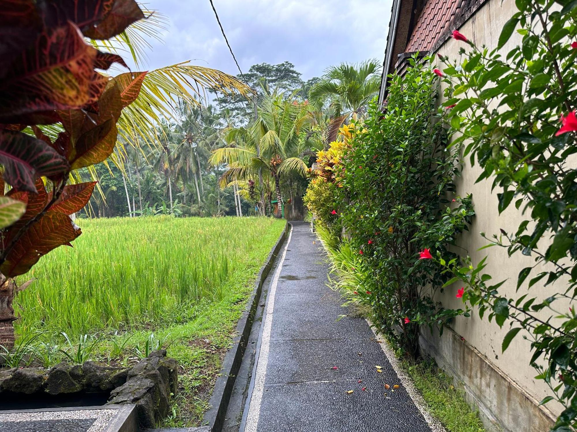 Hotel Dupa Ubud Zewnętrze zdjęcie