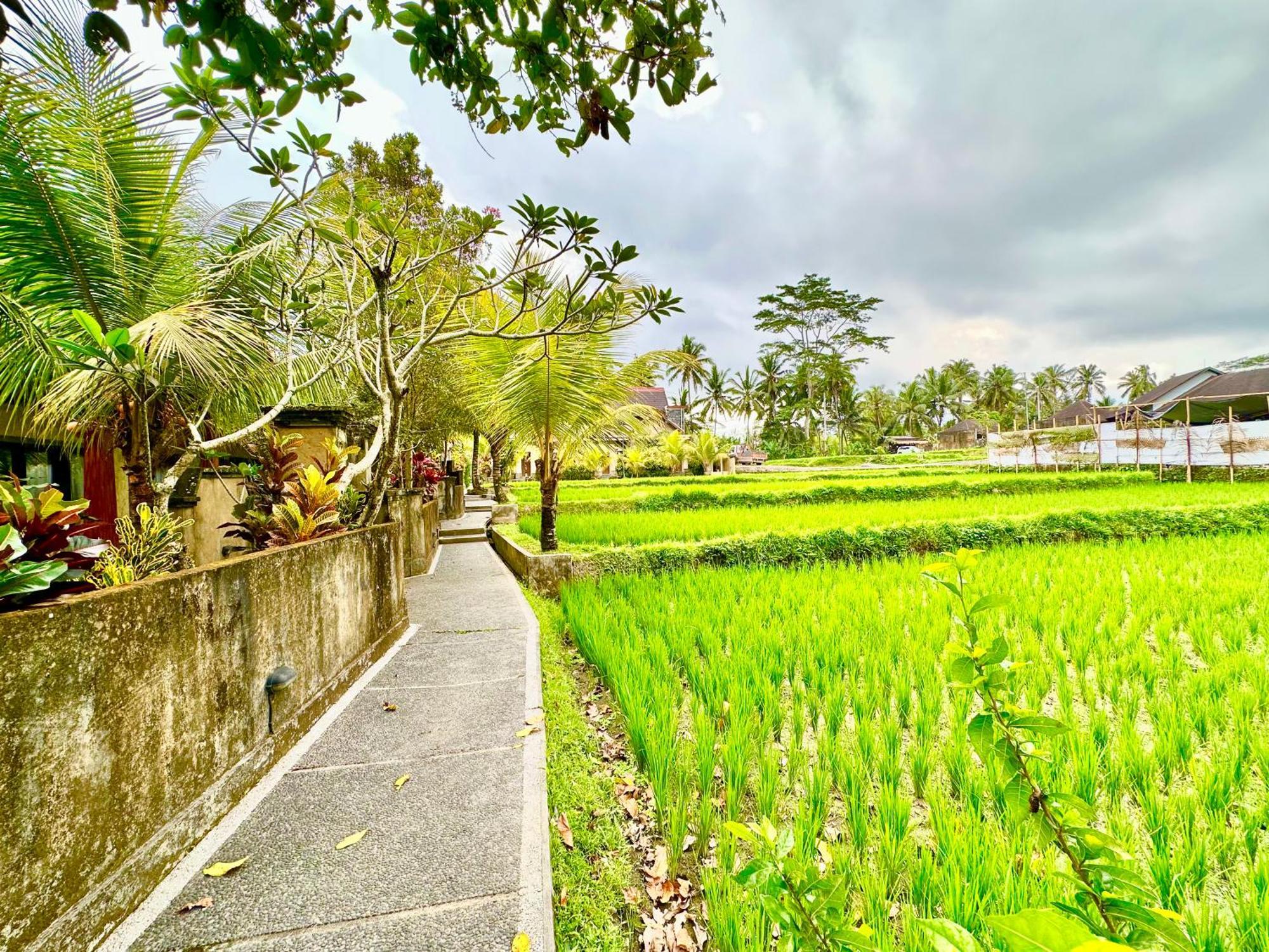 Hotel Dupa Ubud Zewnętrze zdjęcie