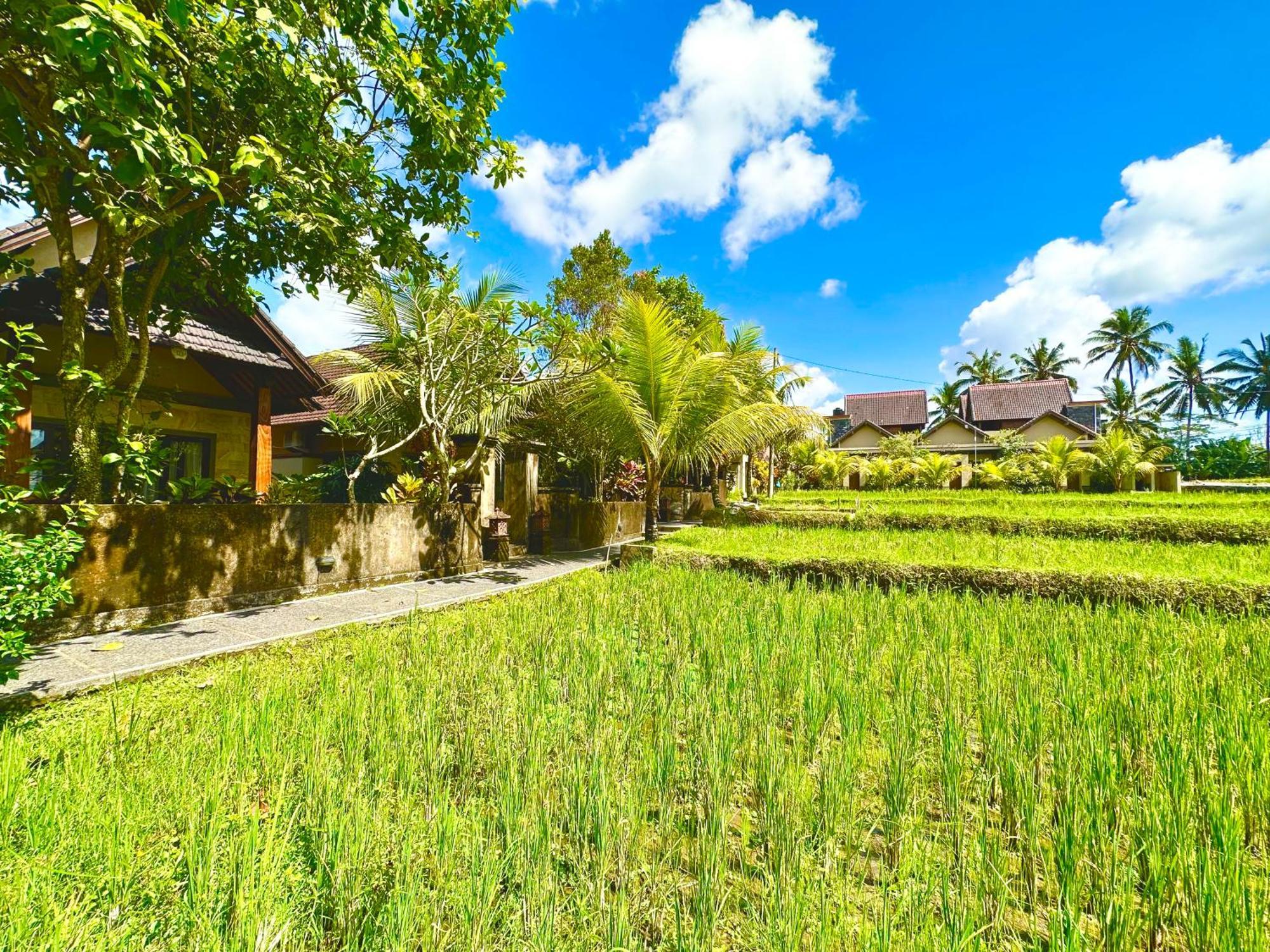 Hotel Dupa Ubud Zewnętrze zdjęcie